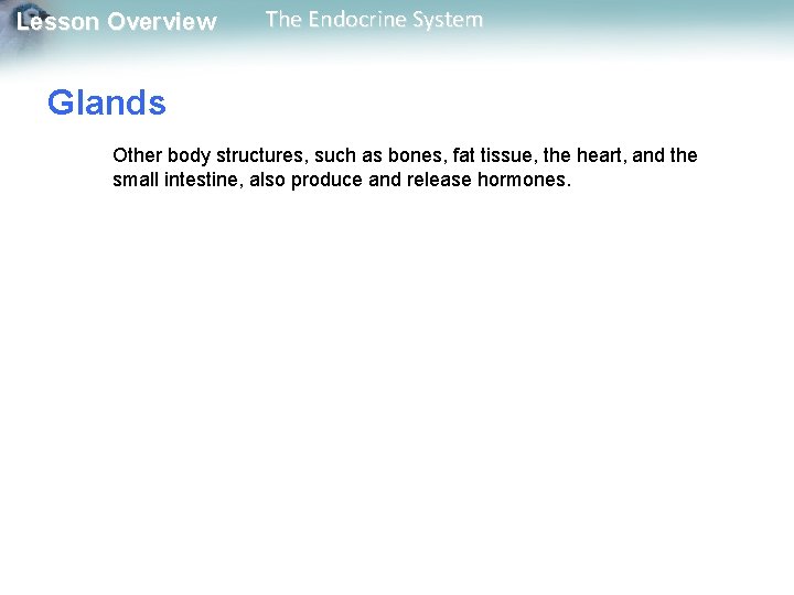 Lesson Overview The Endocrine System Glands Other body structures, such as bones, fat tissue,