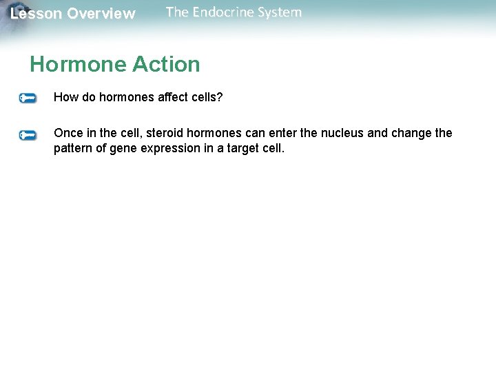 Lesson Overview The Endocrine System Hormone Action How do hormones affect cells? Once in