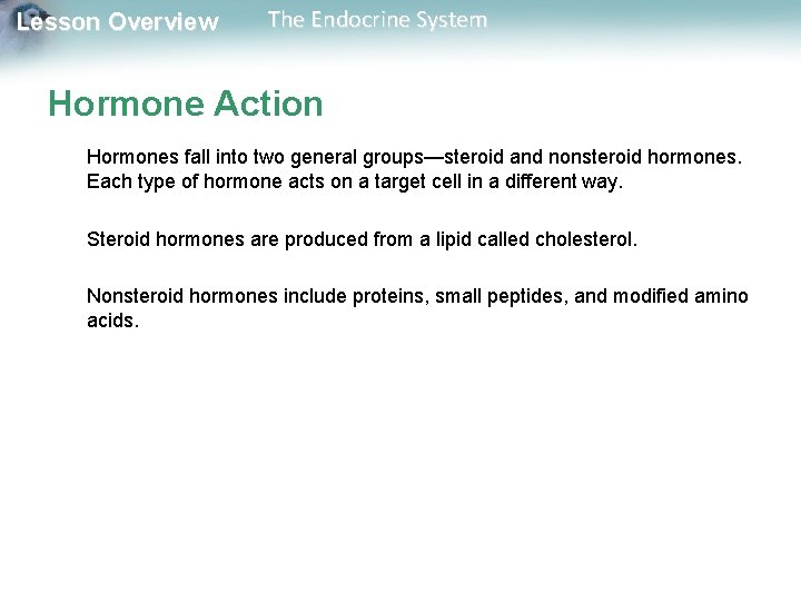 Lesson Overview The Endocrine System Hormone Action Hormones fall into two general groups—steroid and