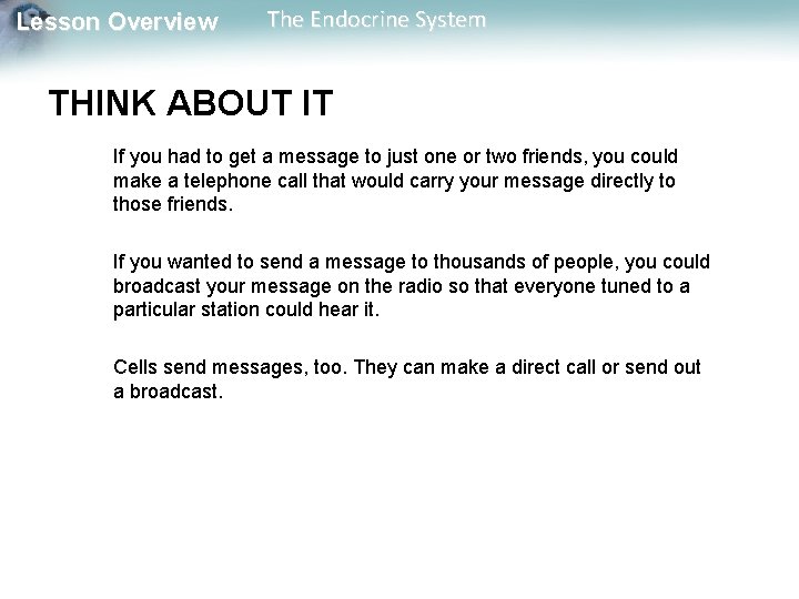 Lesson Overview The Endocrine System THINK ABOUT IT If you had to get a