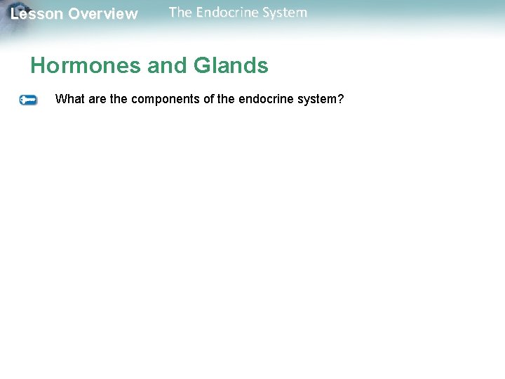 Lesson Overview The Endocrine System Hormones and Glands What are the components of the