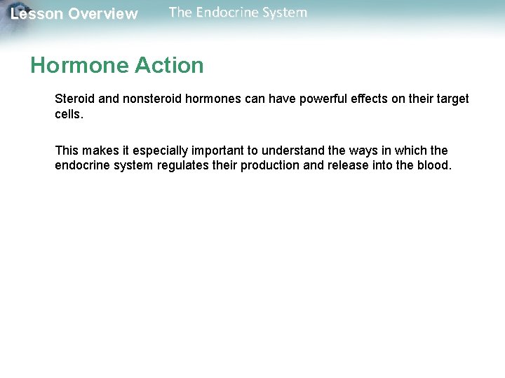 Lesson Overview The Endocrine System Hormone Action Steroid and nonsteroid hormones can have powerful