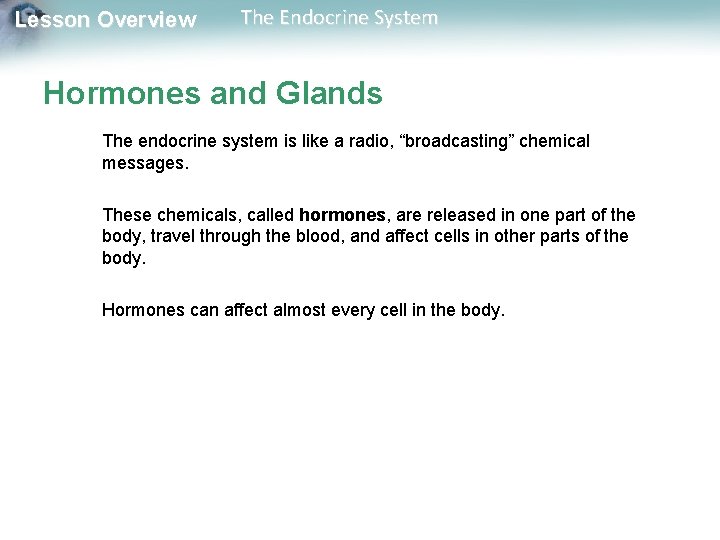 Lesson Overview The Endocrine System Hormones and Glands The endocrine system is like a