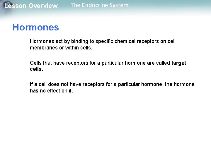 Lesson Overview The Endocrine System Hormones act by binding to specific chemical receptors on