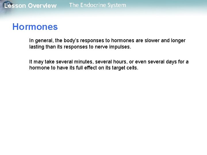 Lesson Overview The Endocrine System Hormones In general, the body’s responses to hormones are