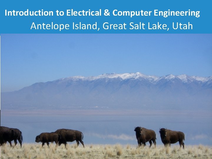 Introduction to Electrical & Computer Engineering Antelope Island, Great Salt Lake, Utah Dr. Cynthia