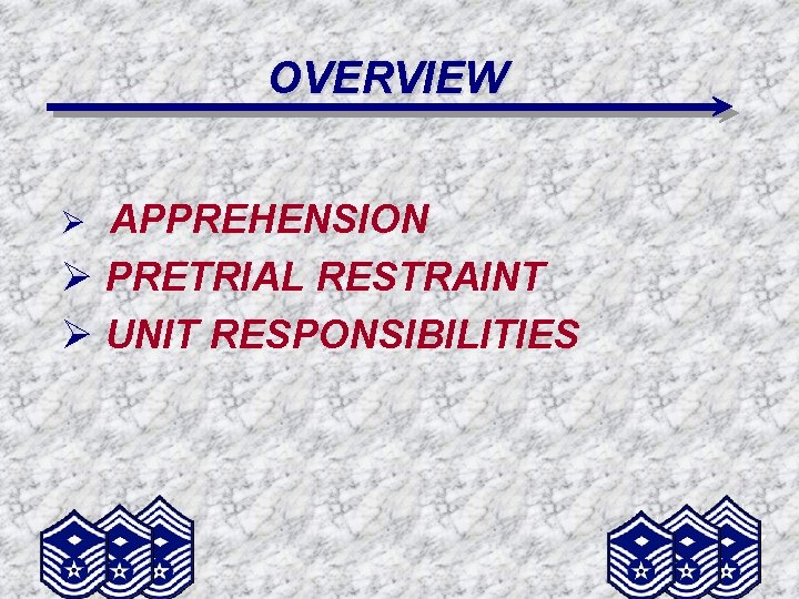 OVERVIEW APPREHENSION Ø PRETRIAL RESTRAINT Ø UNIT RESPONSIBILITIES Ø 