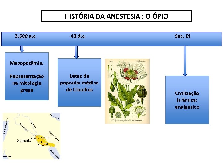 HISTÓRIA DA ANESTESIA : O ÓPIO 3. 500 a. c 40 d. c. Séc.