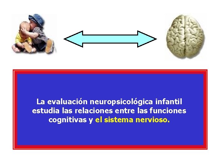 La evaluación neuropsicológica infantil estudia las relaciones entre las funciones cognitivas y el sistema La evaluación neuropsicológica infantil estudia las relaciones entre las funciones cognitivas y el sistema