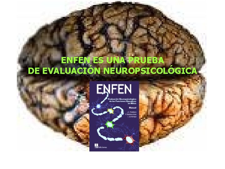 ENFEN ES UNA PRUEBA DE EVALUACIÓN NEUROPSICOLÓGICA ENFEN ES UNA PRUEBA DE EVALUACIÓN NEUROPSICOLÓGICA