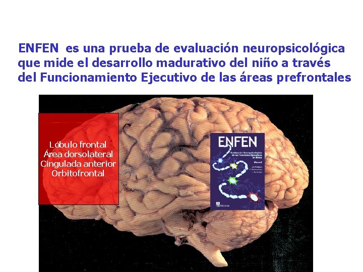 ENFEN es una prueba de evaluación neuropsicológica que mide el desarrollo madurativo del niño ENFEN es una prueba de evaluación neuropsicológica que mide el desarrollo madurativo del niño