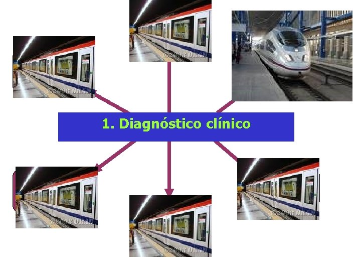 Funciones mentales superiores Funciones Ejecutivas Nivel cognitivo general 1. Diagnóstico clínico Personalidad Estructura afectiva Funciones mentales superiores Funciones Ejecutivas Nivel cognitivo general 1. Diagnóstico clínico Personalidad Estructura afectiva