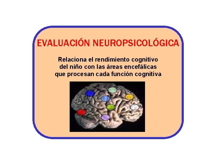 EVALUACIÓN NEUROPSICOLÓGICA Relaciona el rendimiento cognitivo del niño con las áreas encefálicas que procesan EVALUACIÓN NEUROPSICOLÓGICA Relaciona el rendimiento cognitivo del niño con las áreas encefálicas que procesan