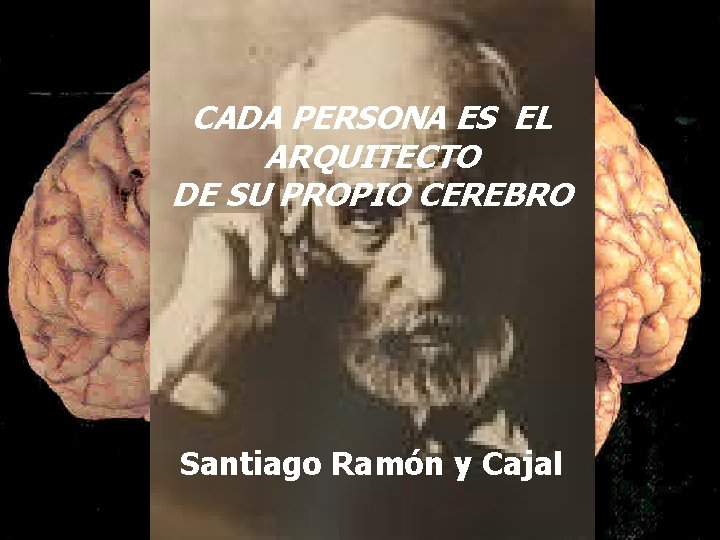 CADA PERSONA ES EL ARQUITECTO DE SU PROPIO CEREBRO Santiago Ramón y Cajal CADA PERSONA ES EL ARQUITECTO DE SU PROPIO CEREBRO Santiago Ramón y Cajal