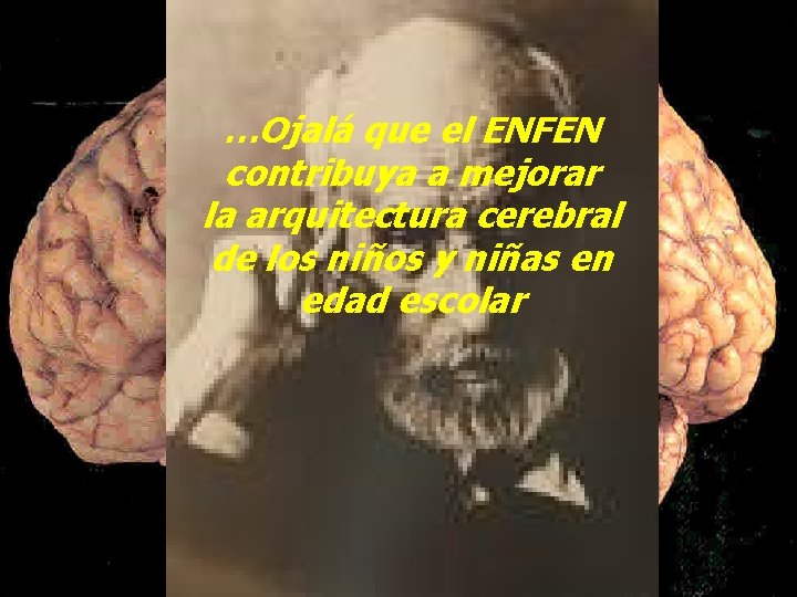 …Ojalá que el ENFEN contribuya a mejorar la arquitectura cerebral de los niños y …Ojalá que el ENFEN contribuya a mejorar la arquitectura cerebral de los niños y