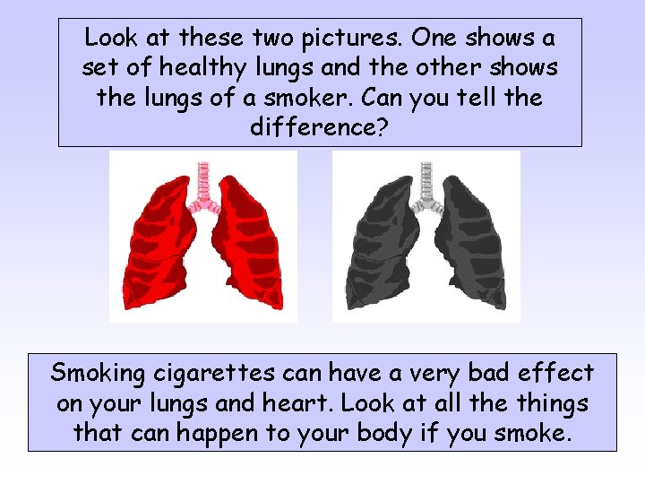 Look at these two pictures. One shows a set of healthy lungs and the