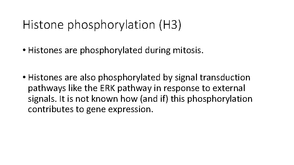 Histone phosphorylation (H 3) • Histones are phosphorylated during mitosis. • Histones are also