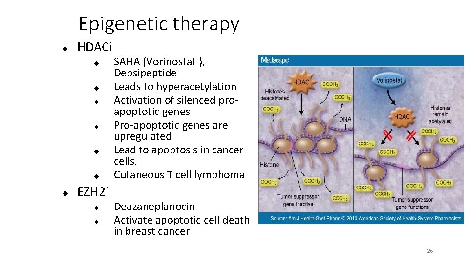 Epigenetic therapy HDACi EZH 2 i SAHA (Vorinostat ), Depsipeptide Leads to hyperacetylation Activation