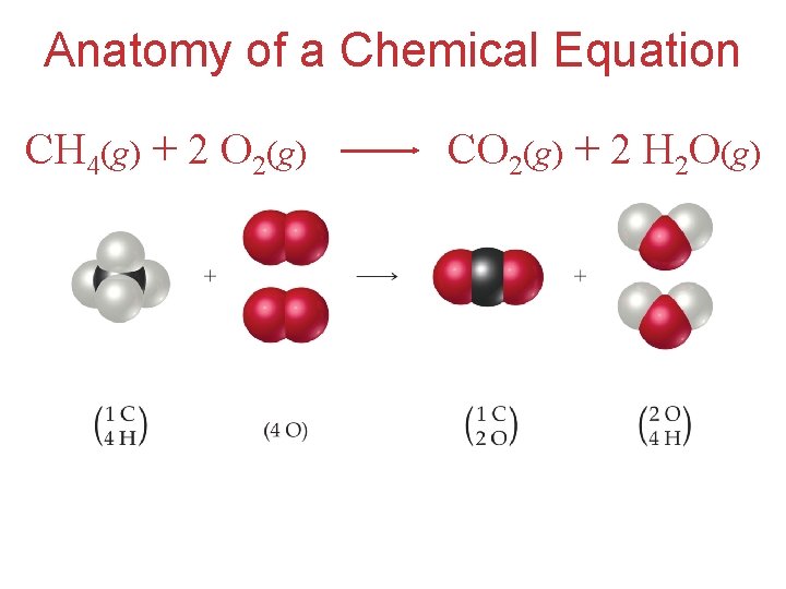 Anatomy of a Chemical Equation CH 4(g) + 2 O 2(g) CO 2(g) +