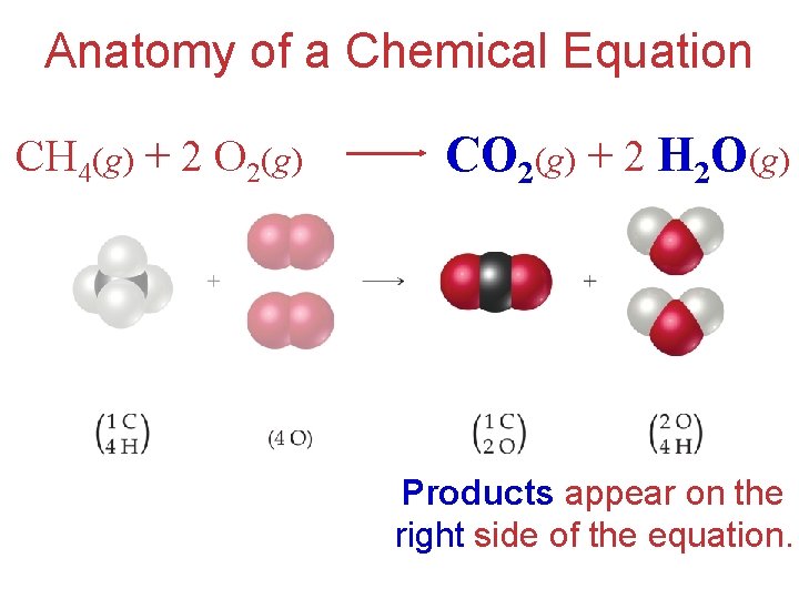 Anatomy of a Chemical Equation CH 4(g) + 2 O 2(g) CO 2(g) +