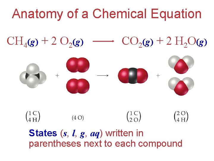 Anatomy of a Chemical Equation CH 4(g) + 2 O 2(g) CO 2(g) +