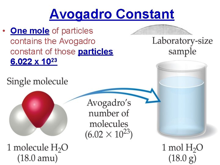 Avogadro Constant • One mole of particles contains the Avogadro constant of those particles