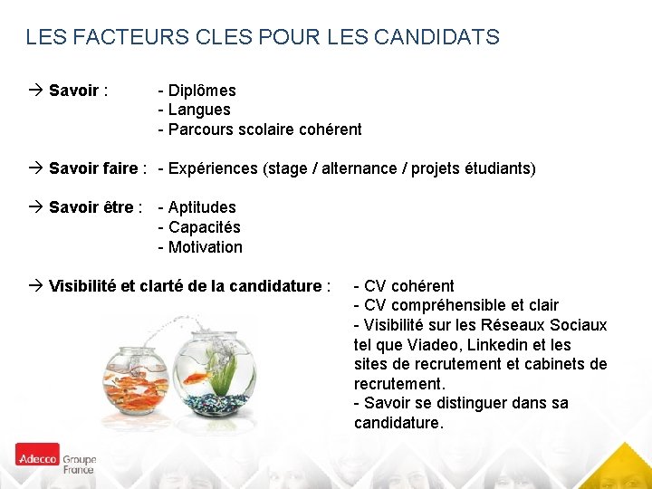 LES FACTEURS CLES POUR LES CANDIDATS Savoir : - Diplômes - Langues - Parcours