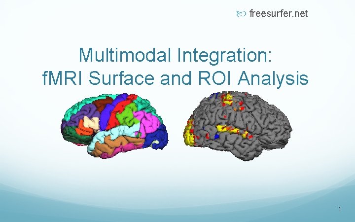 freesurfer. net Multimodal Integration: f. MRI Surface and ROI Analysis 1 