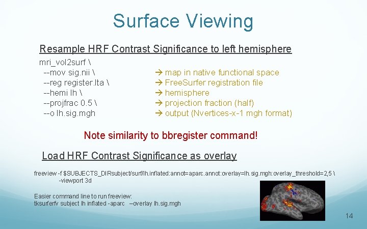 Surface Viewing Resample HRF Contrast Significance to left hemisphere mri_vol 2 surf  --mov