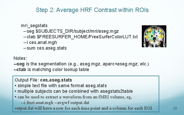 Step 2: Average HRF Contrast within ROIs mri_segstats --seg $SUBJECTS_DIR/subject/mri/aseg. mgz --ctab $FREESURFER_HOME/Free. Surfer.