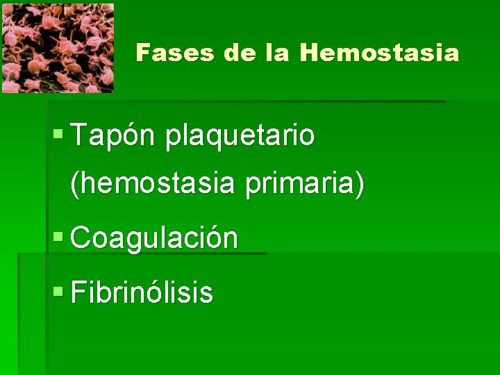 Fases de la Hemostasia § Tapón plaquetario (hemostasia primaria) § Coagulación § Fibrinólisis 