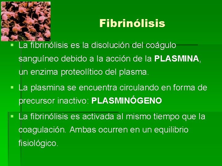 Fibrinólisis § La fibrinólisis es la disolución del coágulo sanguíneo debido a la acción