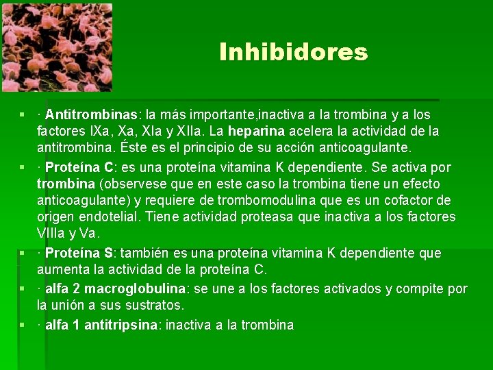 Inhibidores § · Antitrombinas: la más importante, inactiva a la trombina y a los