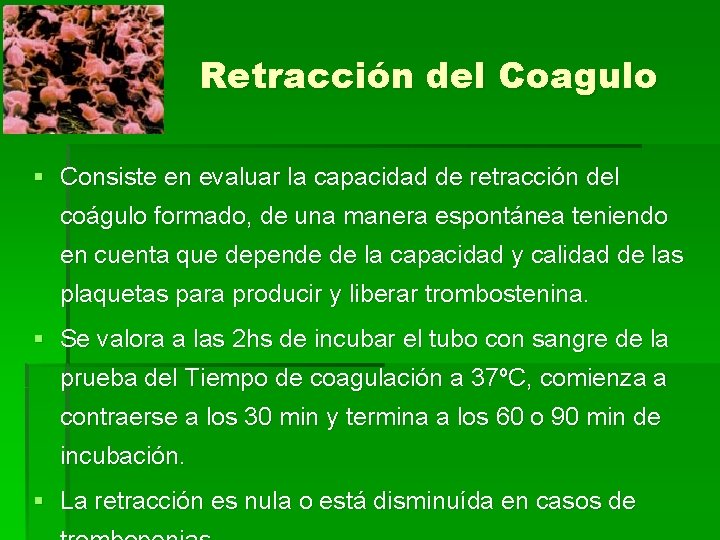 Retracción del Coagulo § Consiste en evaluar la capacidad de retracción del coágulo formado,
