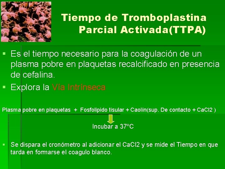 Tiempo de Tromboplastina Parcial Activada(TTPA) § Es el tiempo necesario para la coagulación de