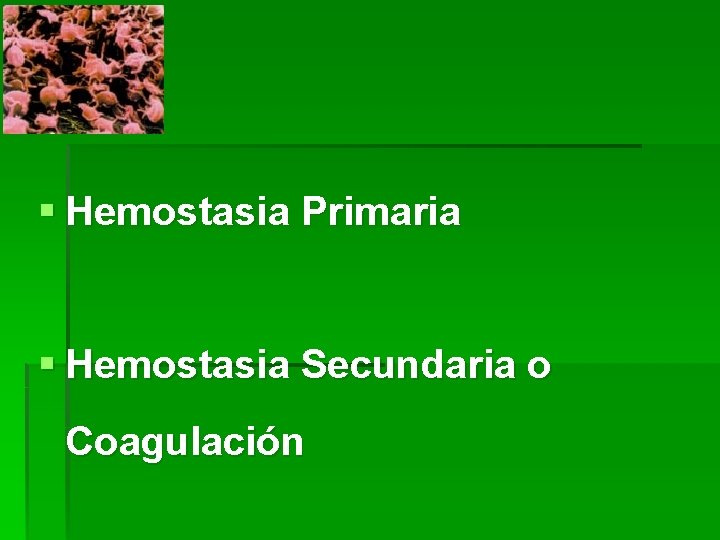 § Hemostasia Primaria § Hemostasia Secundaria o Coagulación 