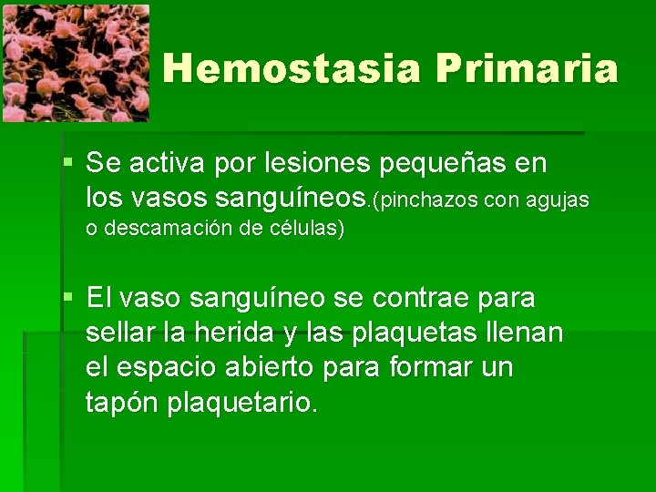 Hemostasia Primaria § Se activa por lesiones pequeñas en los vasos sanguíneos. (pinchazos con