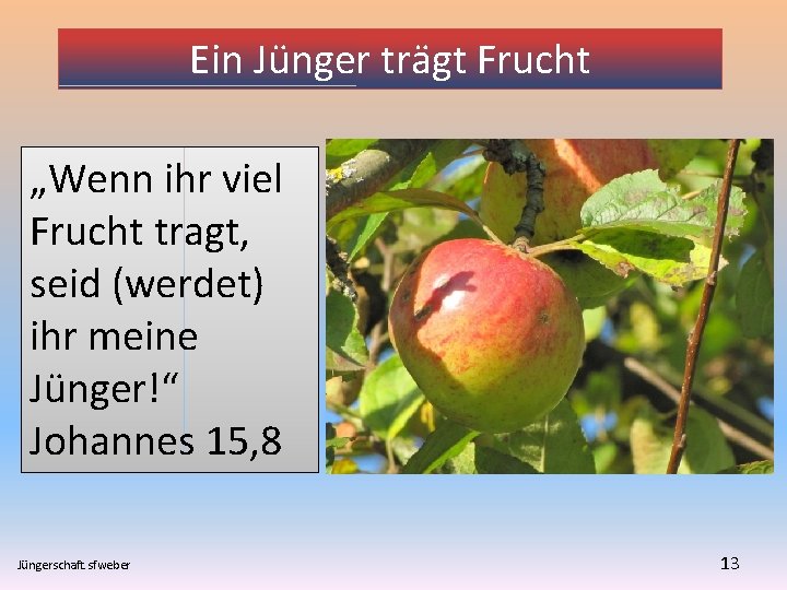 Ein Jünger trägt Frucht „Wenn ihr viel Frucht tragt, seid (werdet) ihr meine Jünger!“