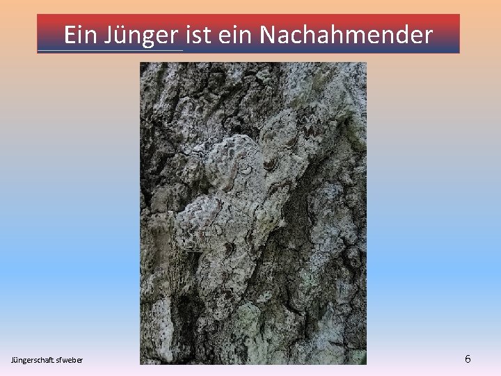 Ein Jünger ist ein Nachahmender Jüngerschaft. sfweber 6 