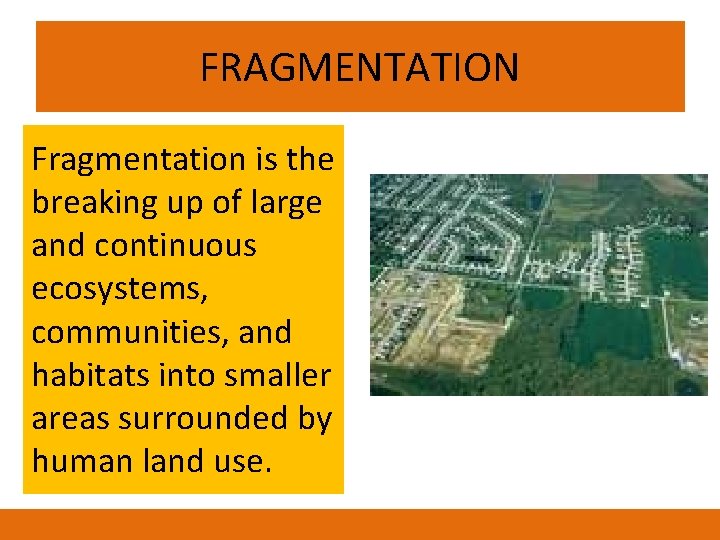 FRAGMENTATION Fragmentation is the breaking up of large and continuous ecosystems, communities, and habitats