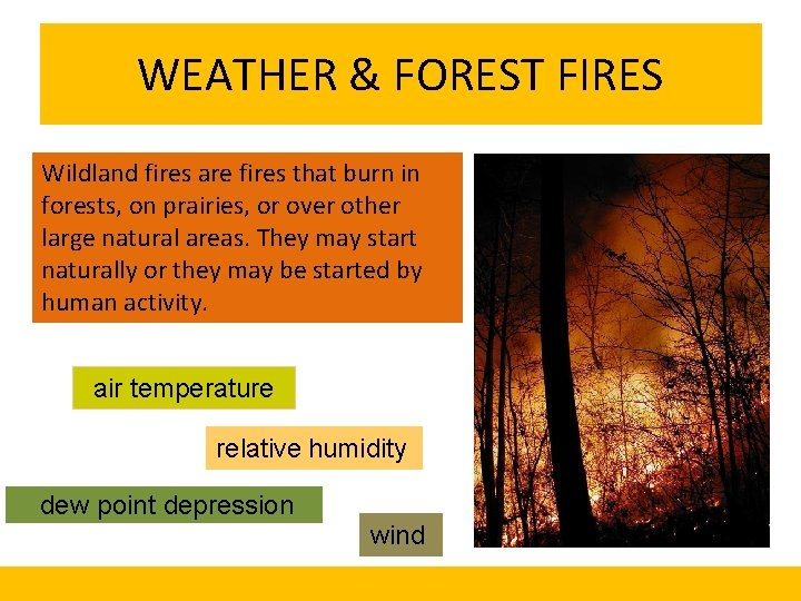 WEATHER & FOREST FIRES Wildland fires are fires that burn in forests, on prairies,