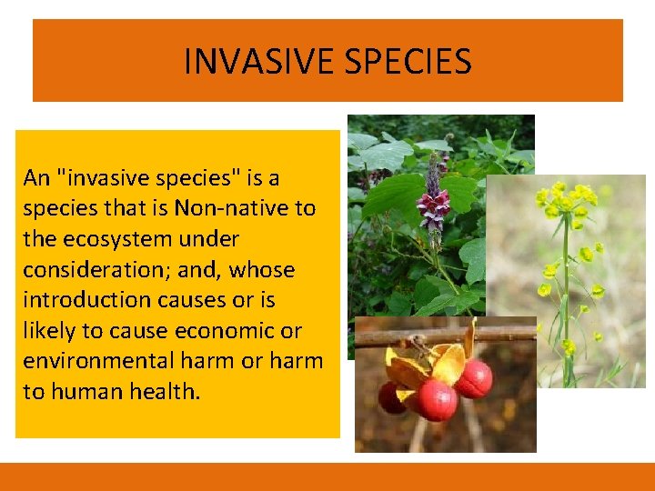 INVASIVE SPECIES An "invasive species" is a species that is Non-native to the ecosystem