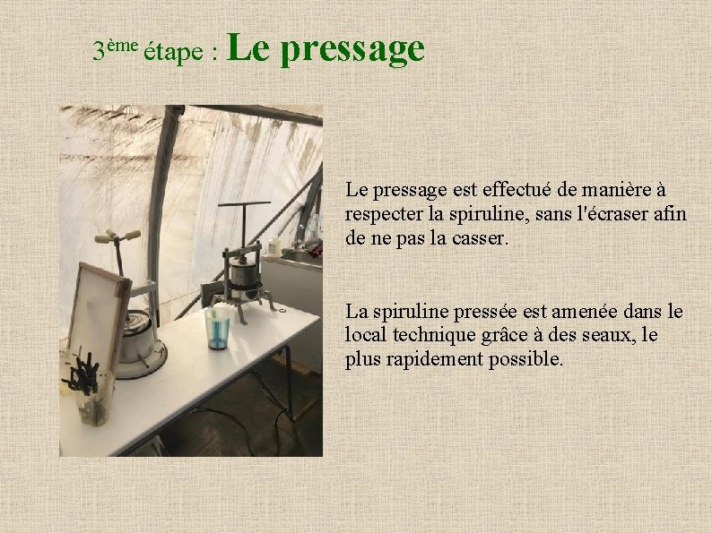 3ème étape : Le pressage est effectué de manière à respecter la spiruline, sans