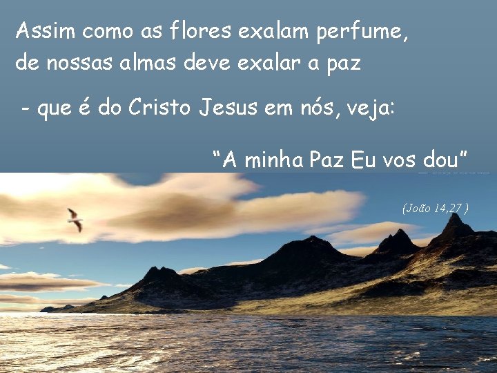 Assim como as flores exalam perfume, de nossas almas deve exalar a paz -