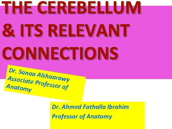 THE CEREBELLUM & ITS RELEVANT CONNECTIONS Dr. Sana a Alshaa rawy Associat e Profes