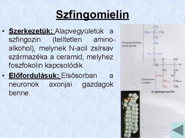 Szfingomielin • Szerkezetük: Alapvegyületük a szfingozin (telítetlen aminoalkohol), melynek N-acil zsírsav származéka a ceramid,