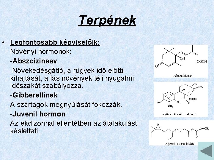 Terpének • Legfontosabb képviselőik: Növényi hormonok: -Abszcizinsav Növekedésgátló, a rügyek idő előtti kihajtását, a