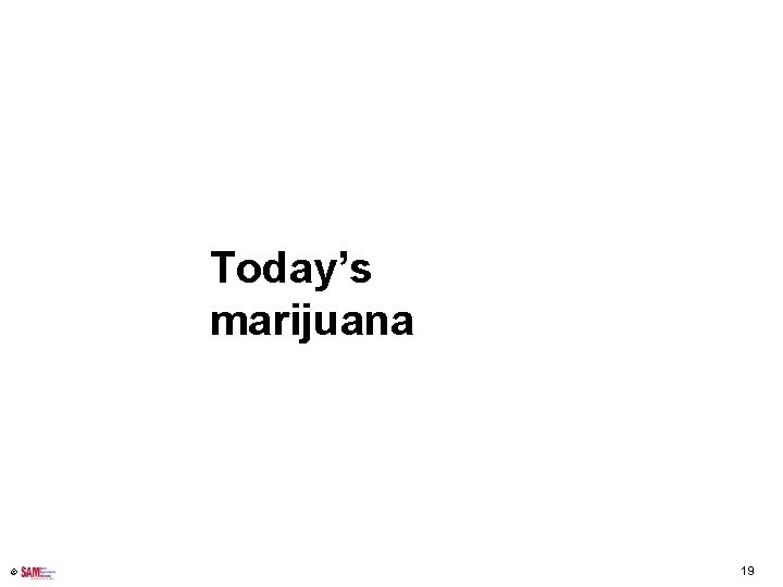 Today’s marijuana © 19 