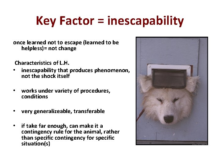 Key Factor = inescapability once learned not to escape (learned to be helpless)= not