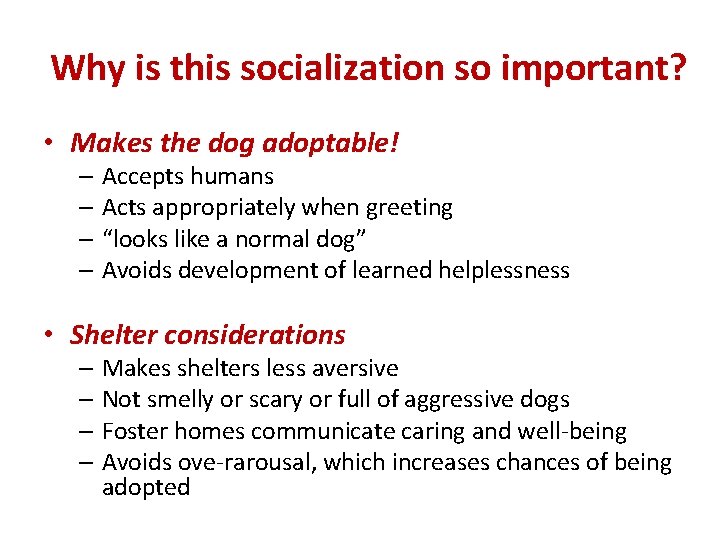 Why is this socialization so important? • Makes the dog adoptable! – Accepts humans